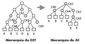 Comparao entre estruturas hierrquicas de diretrios 